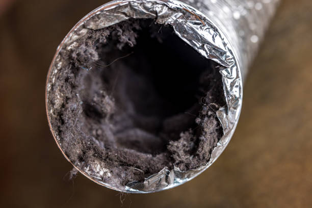 Best Air Duct Cleaning Near Me  in Folsom, PA